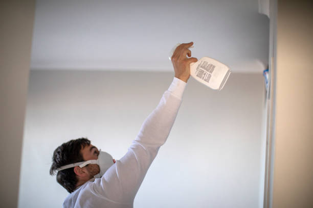 Professional Mold Removal in Horatio, AR