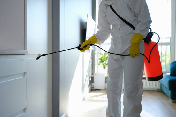 Best Home Mold Removal  in Horatio, AR