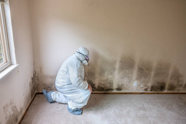 Water Damage Restoration in Horatio, AR